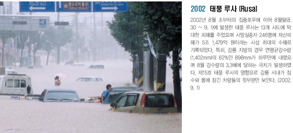 2002년 태풍루사